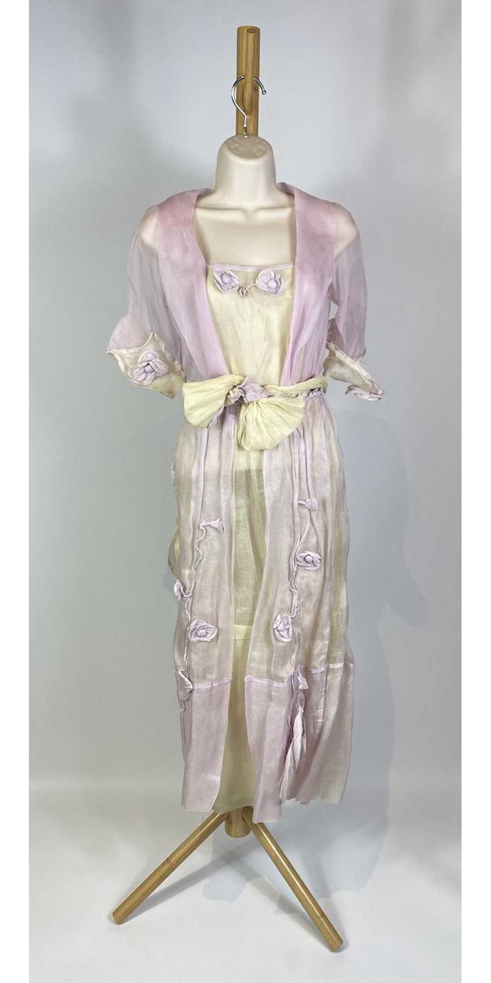 1920s Pastel Silk Chiffon Rosette Embellished Dre… - image 1