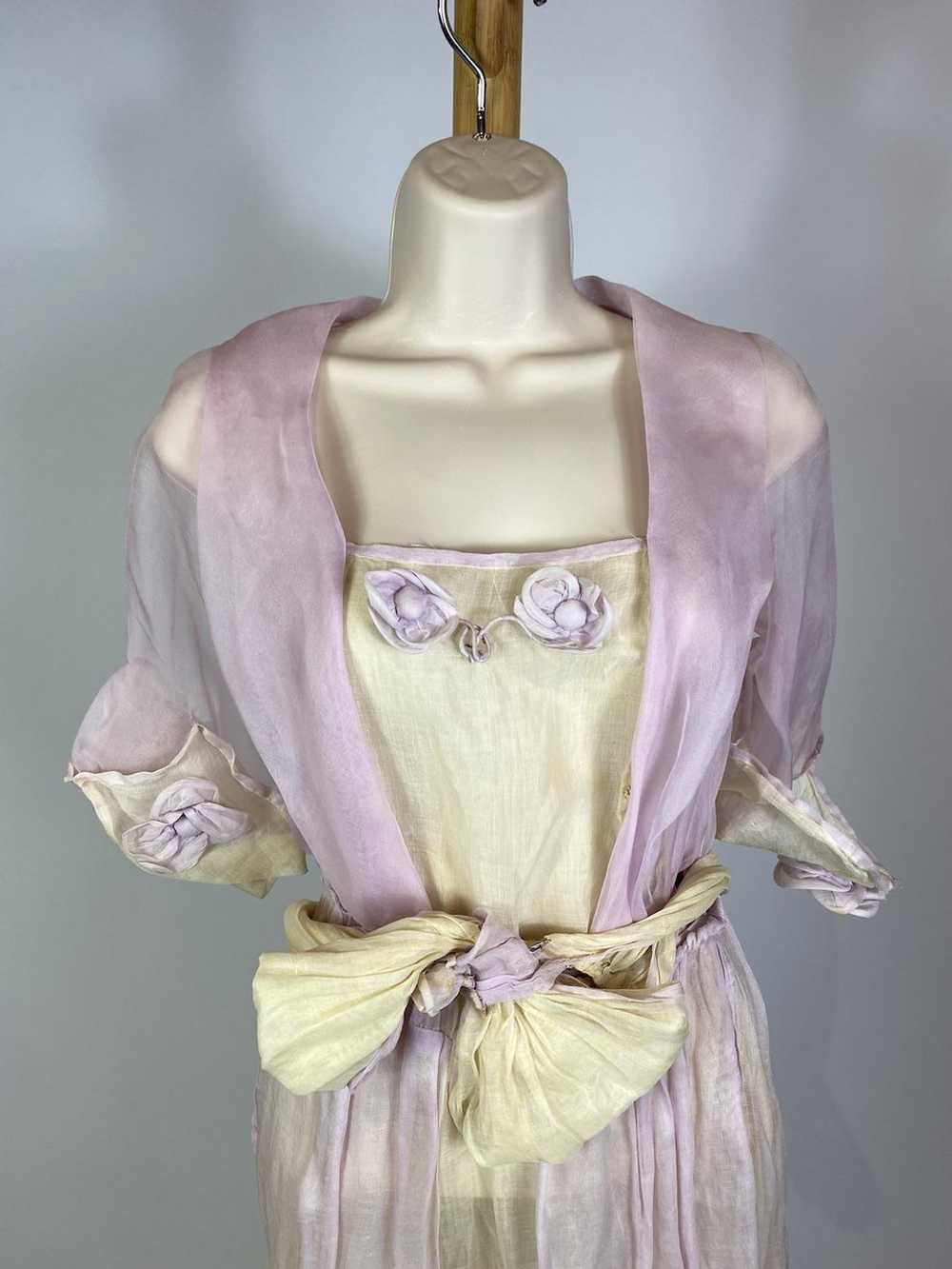 1920s Pastel Silk Chiffon Rosette Embellished Dre… - image 2