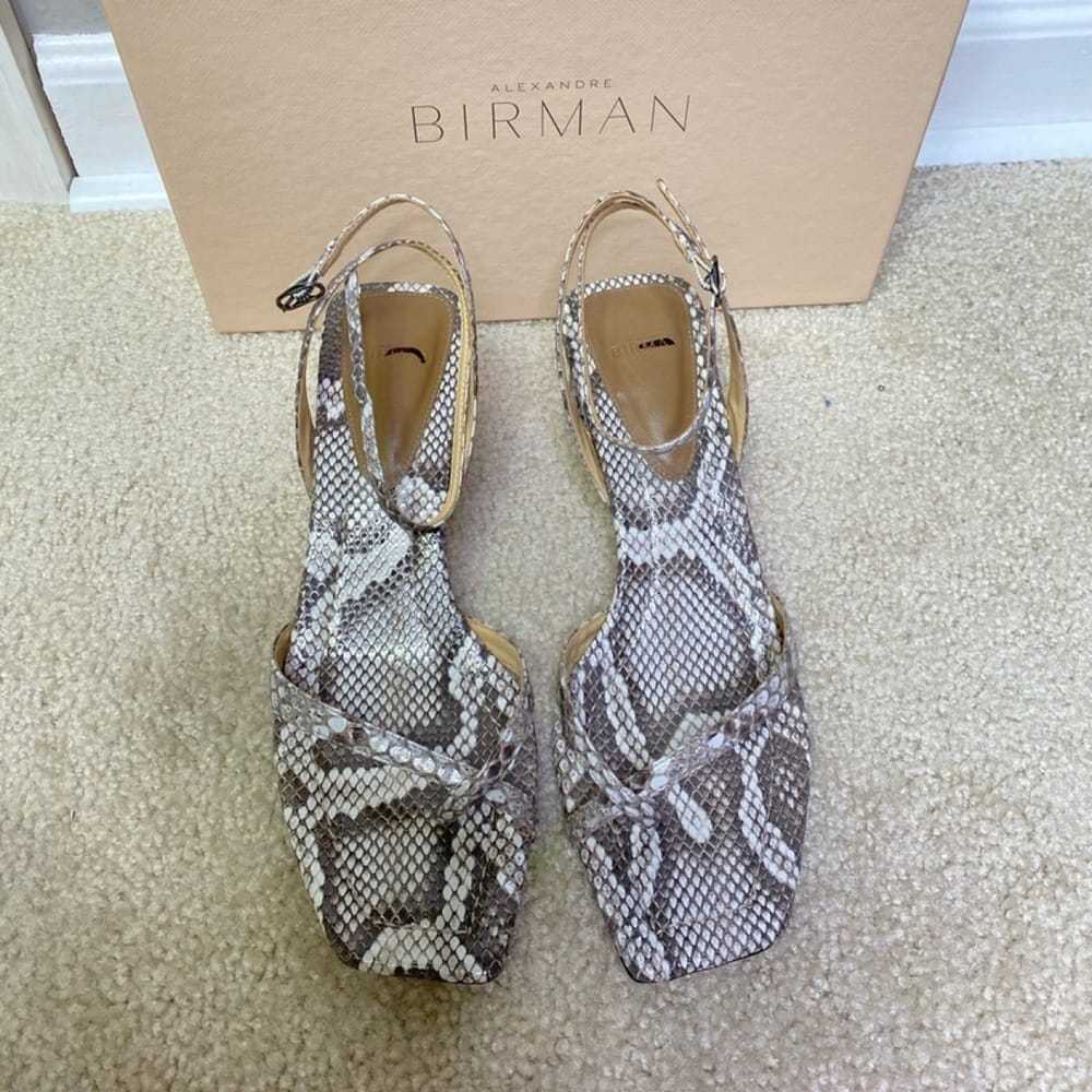 Alexandre Birman Python sandals - image 11