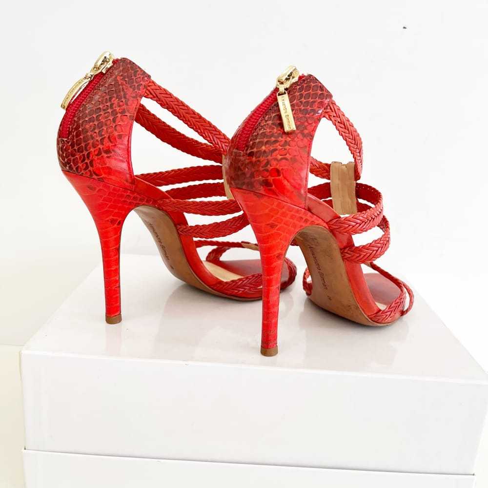 Alexandre Birman Python sandal - image 4