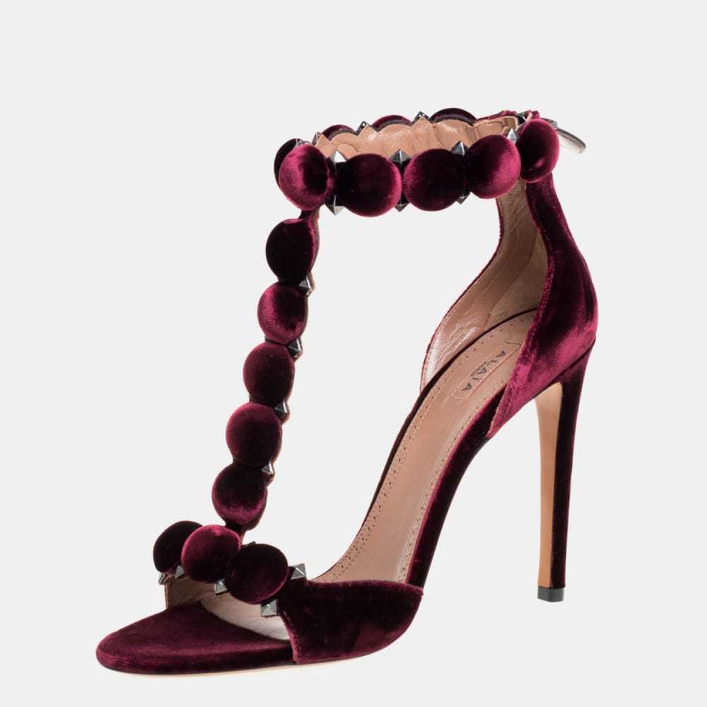 Alaïa Velvet sandal - image 2