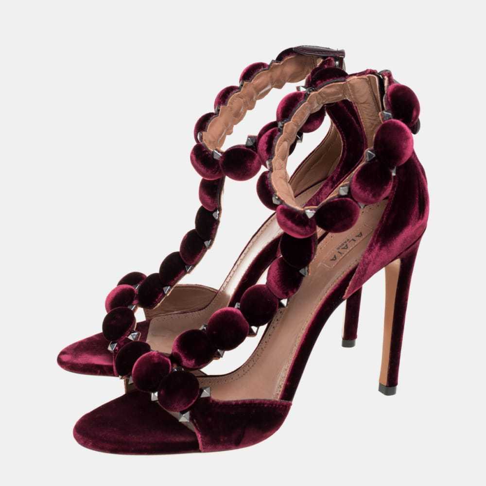 Alaïa Velvet sandal - image 3