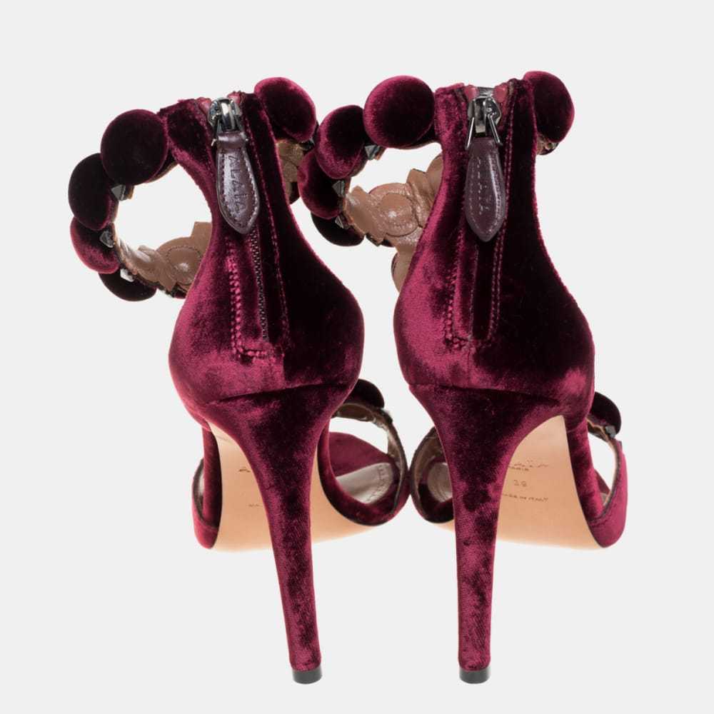 Alaïa Velvet sandal - image 4