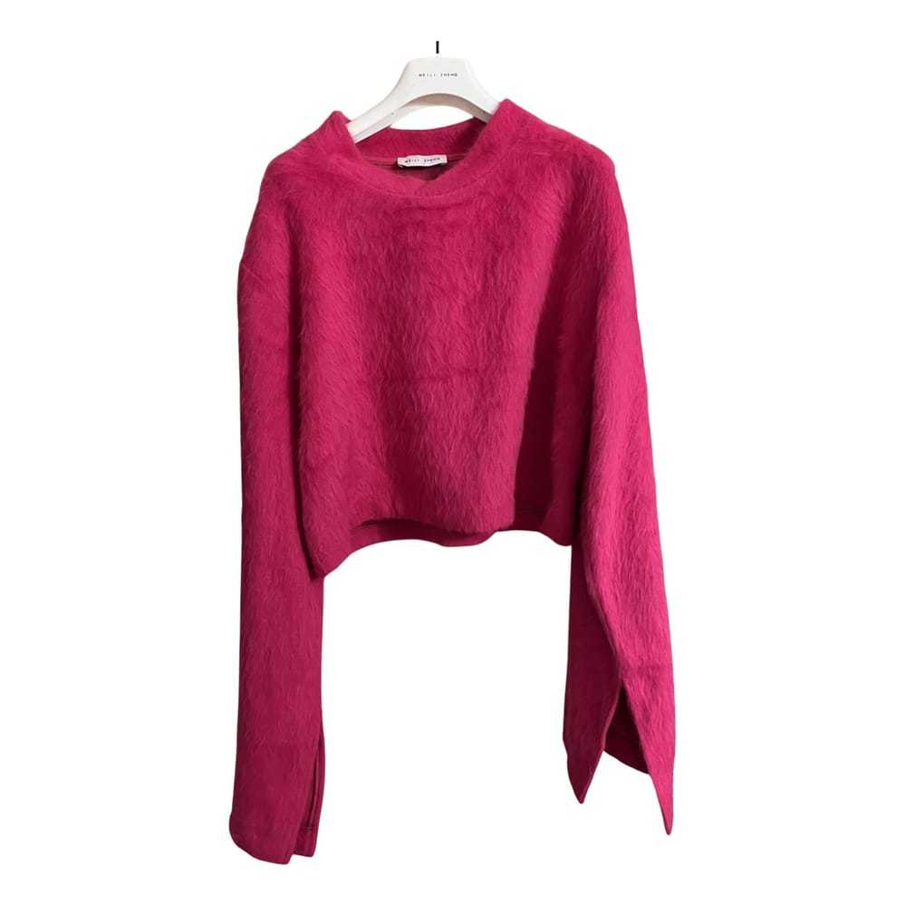 Weili Zheng Jumper - image 1