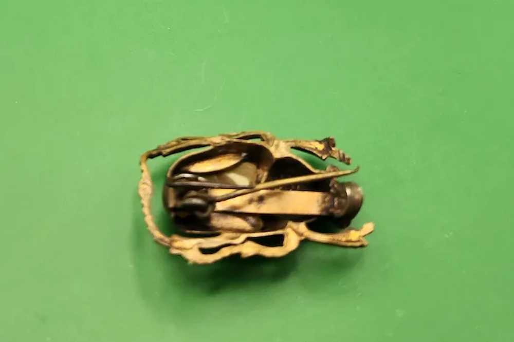 Scarab Beetle Brooch with Gemstone - image 3