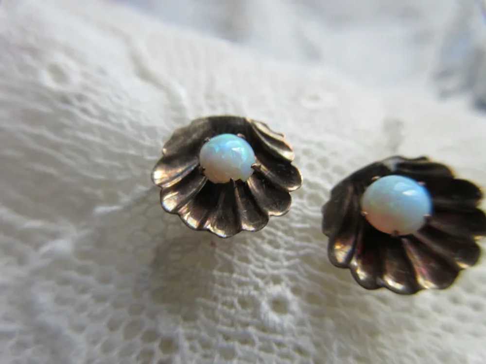 Older Vintage 14K Opal Sea Shell Earrings - image 2