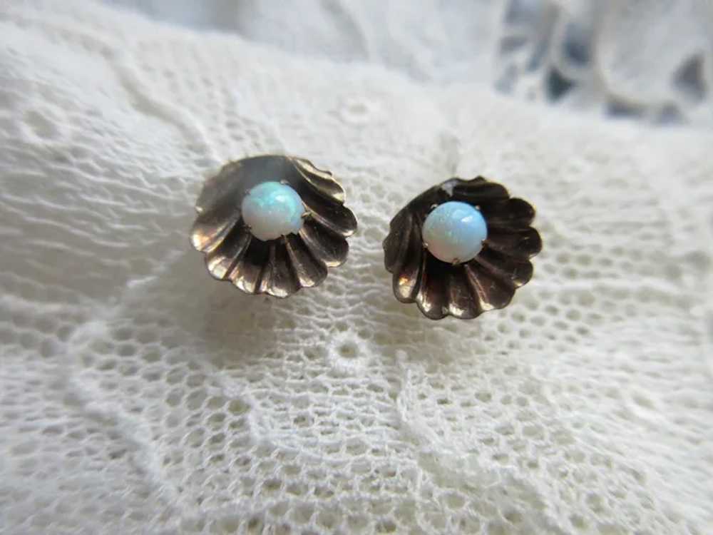 Older Vintage 14K Opal Sea Shell Earrings - image 3