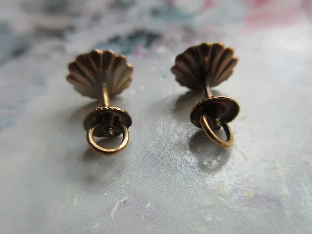 Older Vintage 14K Opal Sea Shell Earrings - image 4