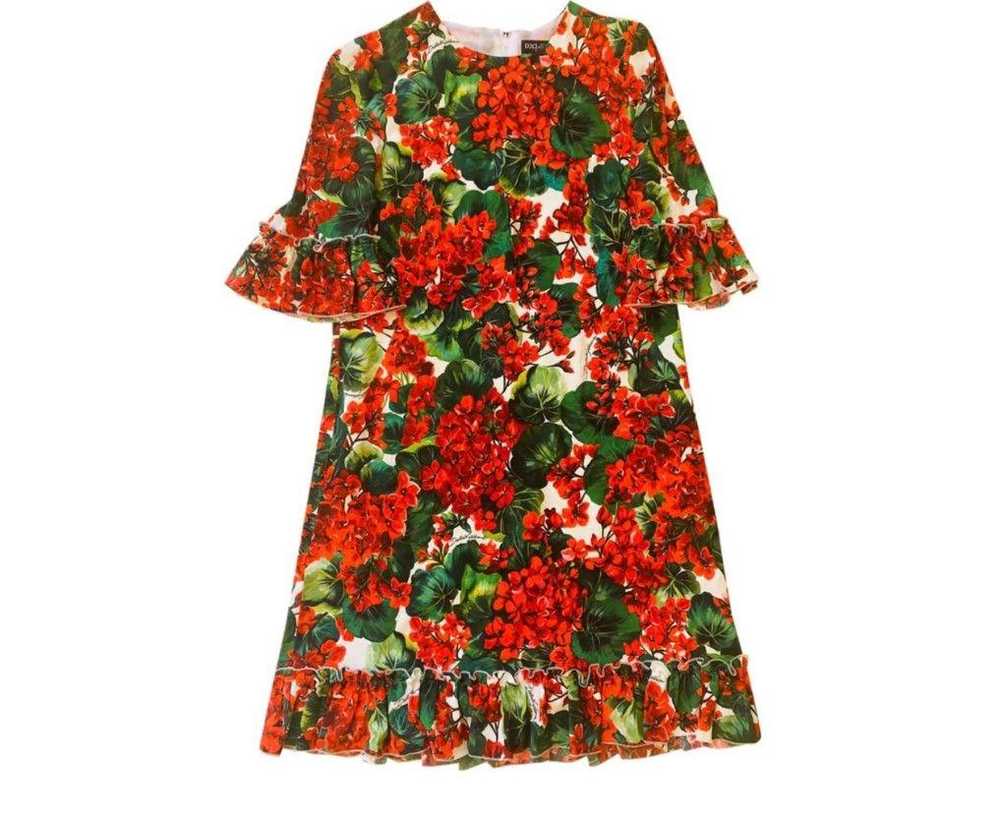 Dolce & Gabbana Geranium Print Dress - image 8