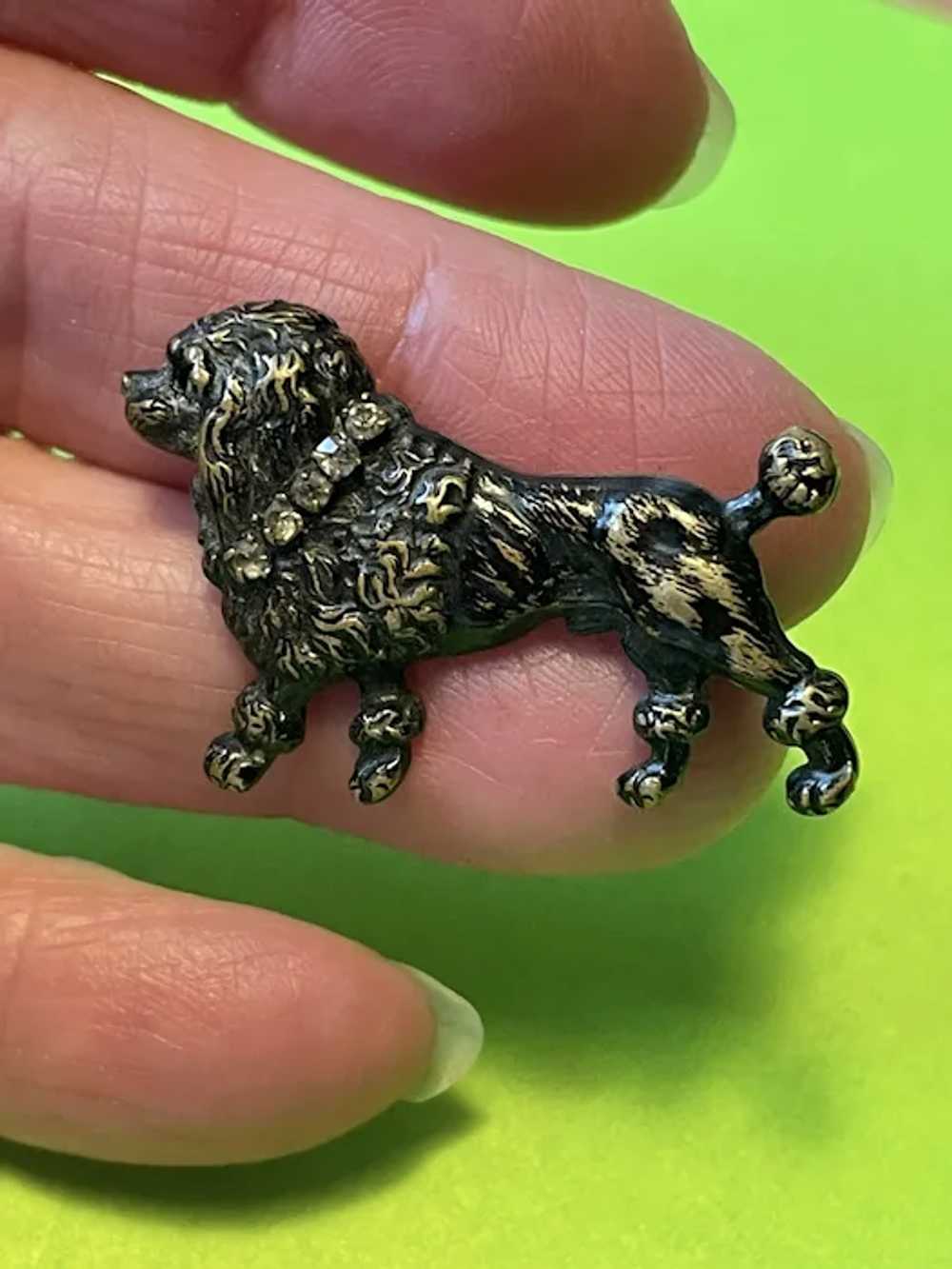 Lovely Victorian Poodle Pin with Paste Collar - image 2