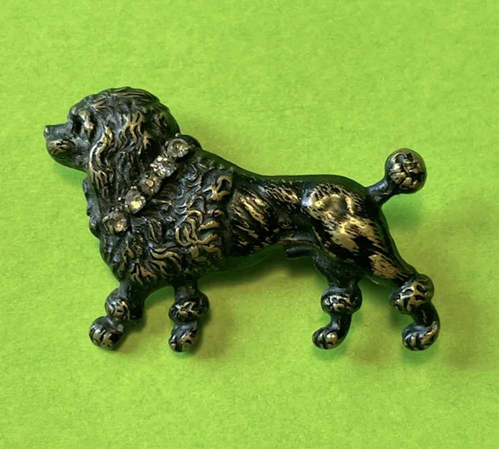Lovely Victorian Poodle Pin with Paste Collar - image 3