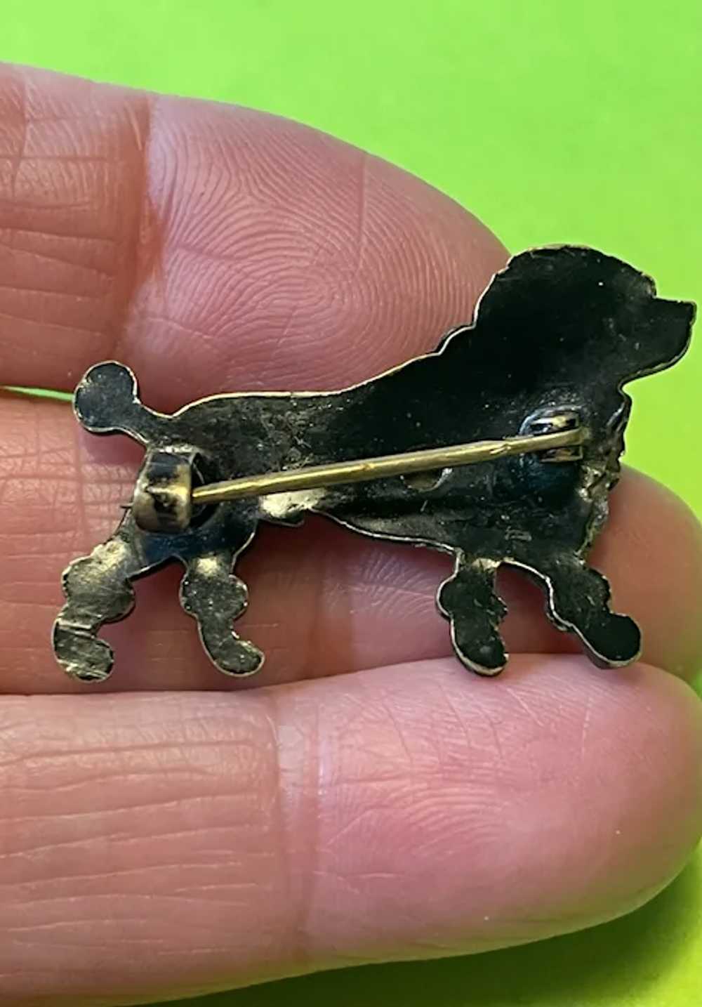 Lovely Victorian Poodle Pin with Paste Collar - image 4