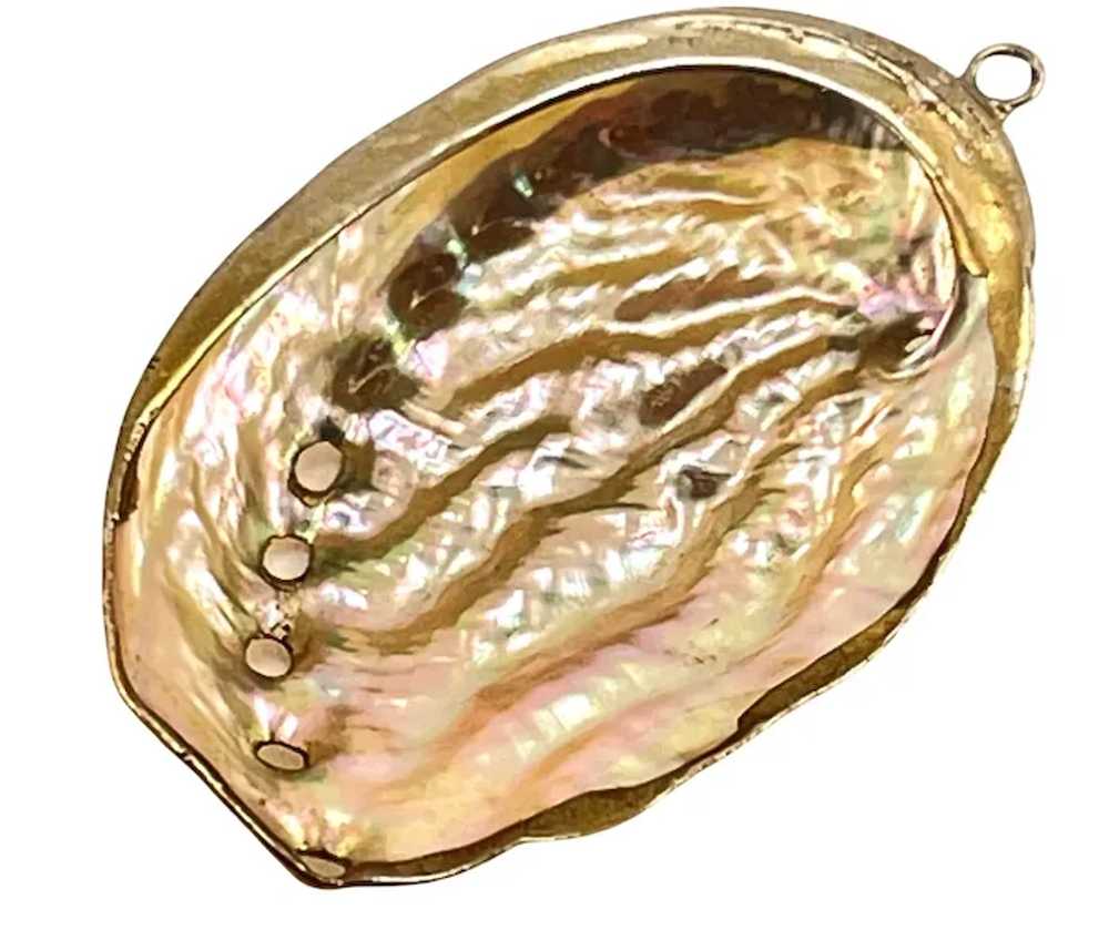 Gold Dipped Abalone Shell Pendant with Delicate D… - image 3