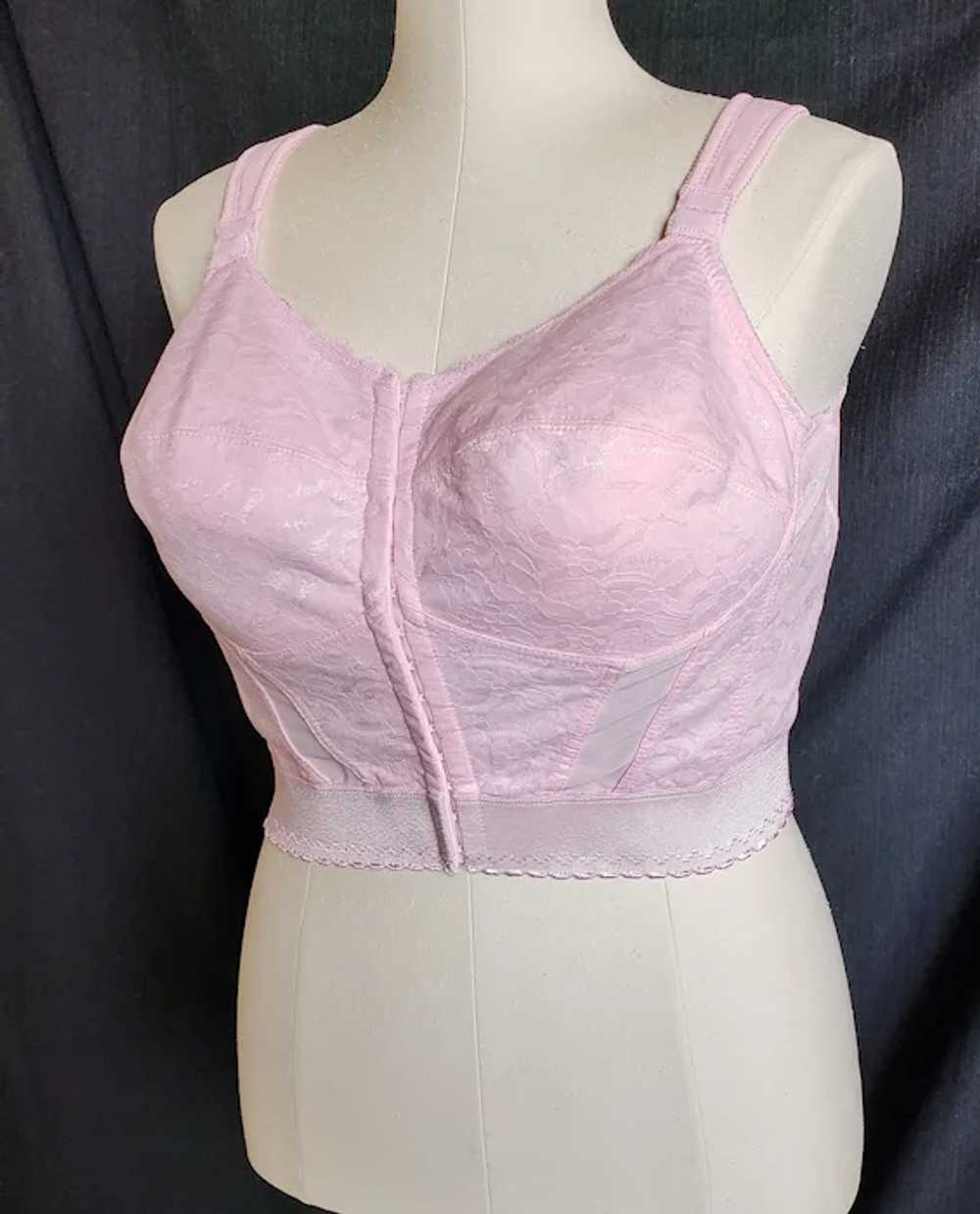 In-The-PINK Bustier - 1960's - image 2