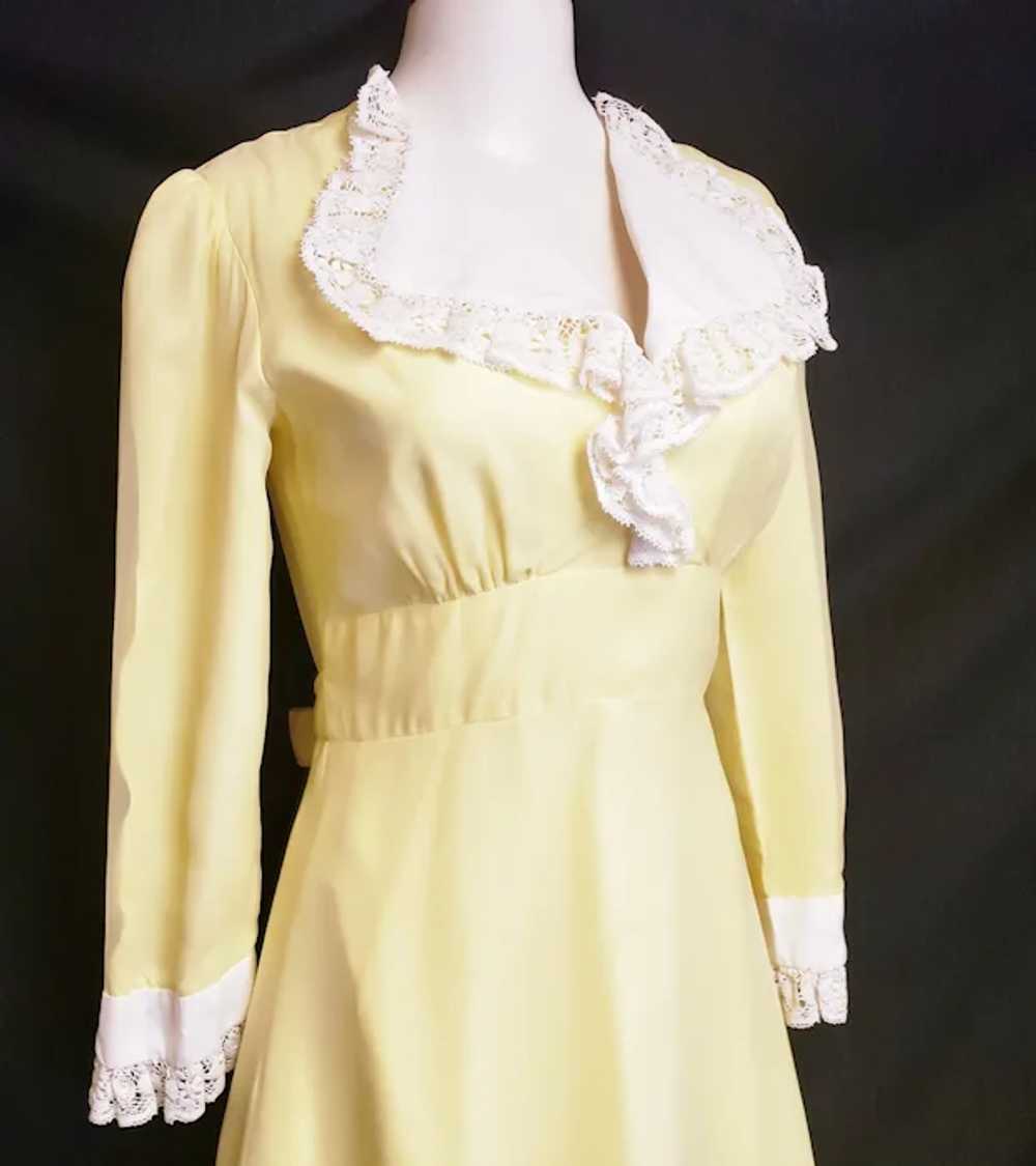 Lemon-Supreme Dream of a Rockabilly Dress - image 2