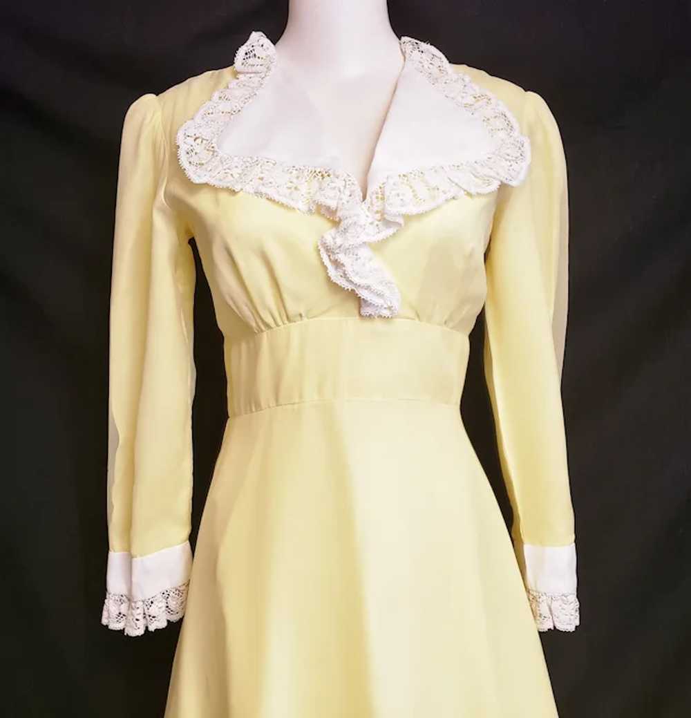 Lemon-Supreme Dream of a Rockabilly Dress - image 9