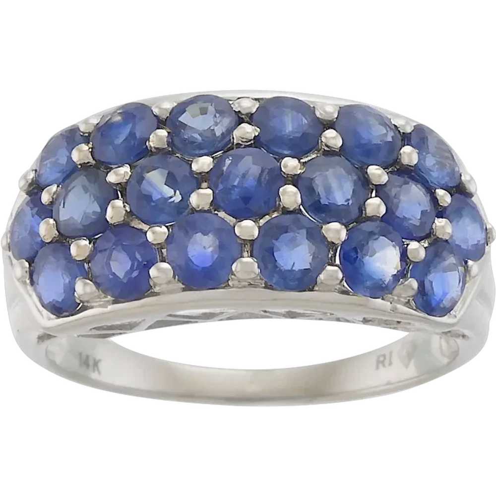 Delightful Blue Sapphire Ring in 14k White Gold - image 1