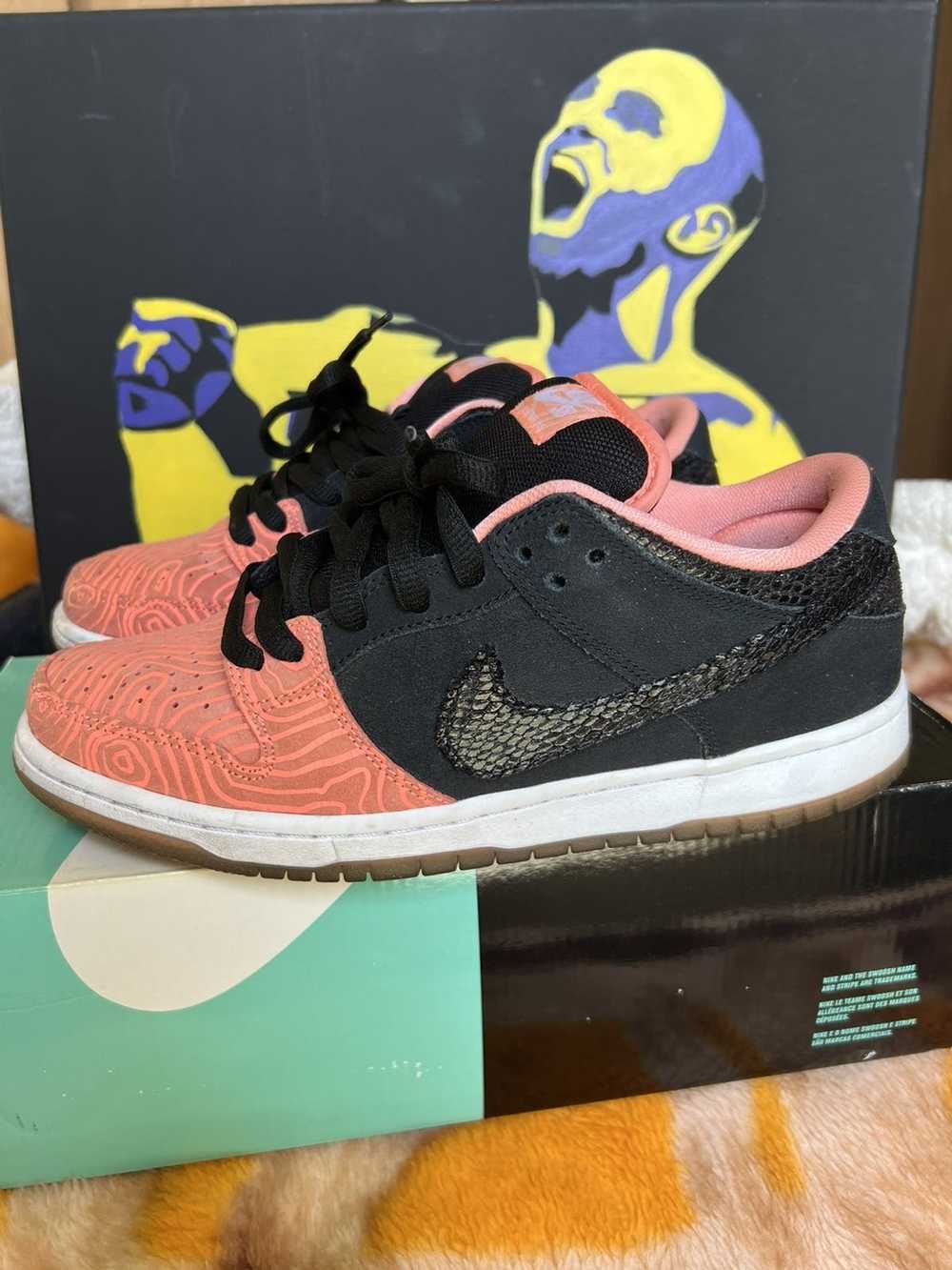 nike sb fish ladder
