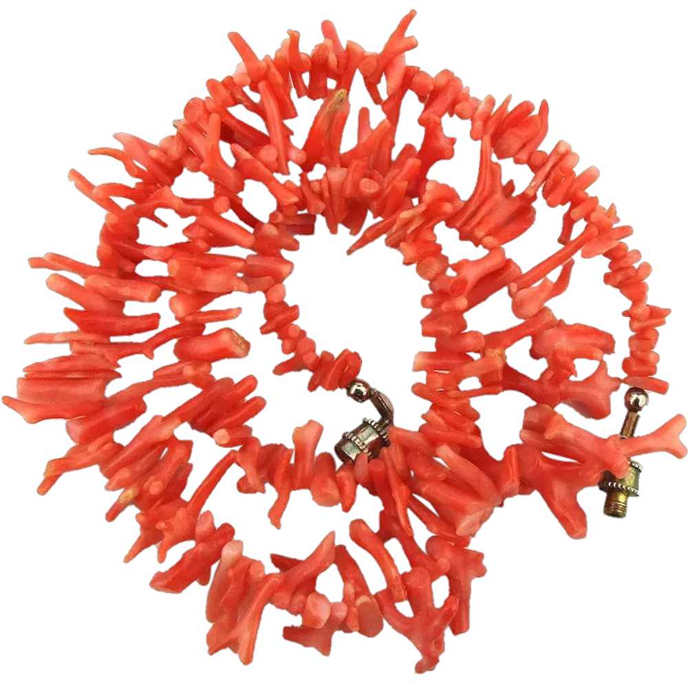 Vintage Pink Branch Coral Necklace - image 1