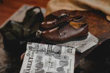 Red wing redwing - Gem