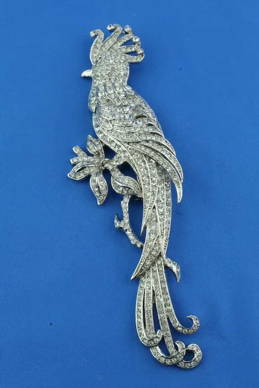 Cockatiel Bird on a branch rhinestone brooch - image 2