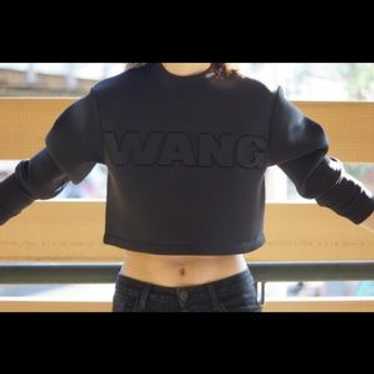 Alexander wang h&m neoprene - Gem