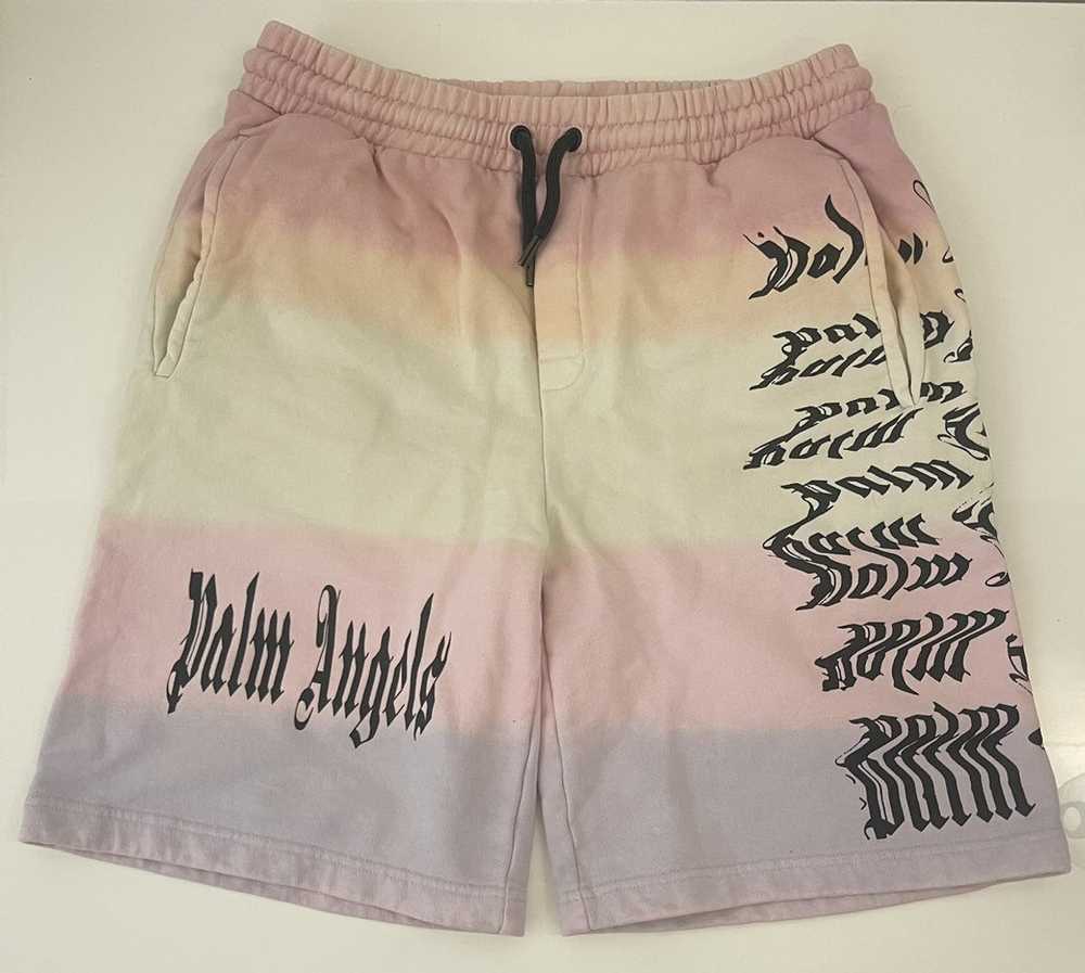 Palm Angels Rainbow Shorts - image 1