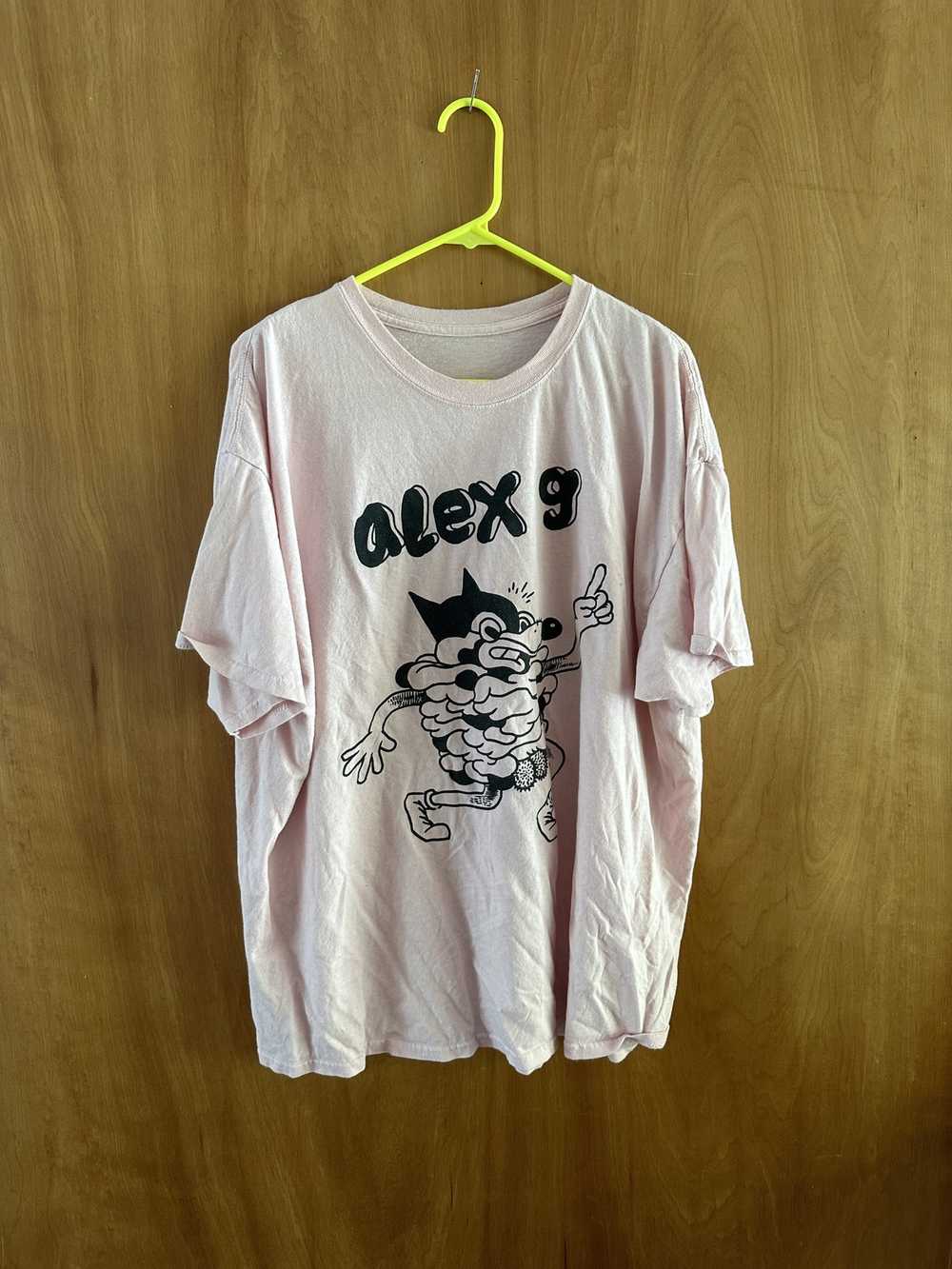 Vintage Alex G Tour Shirt 2014 - image 1