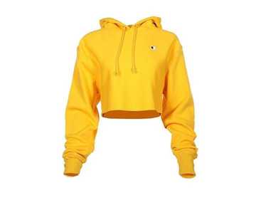 Champion cropped champion hoodie - image 1