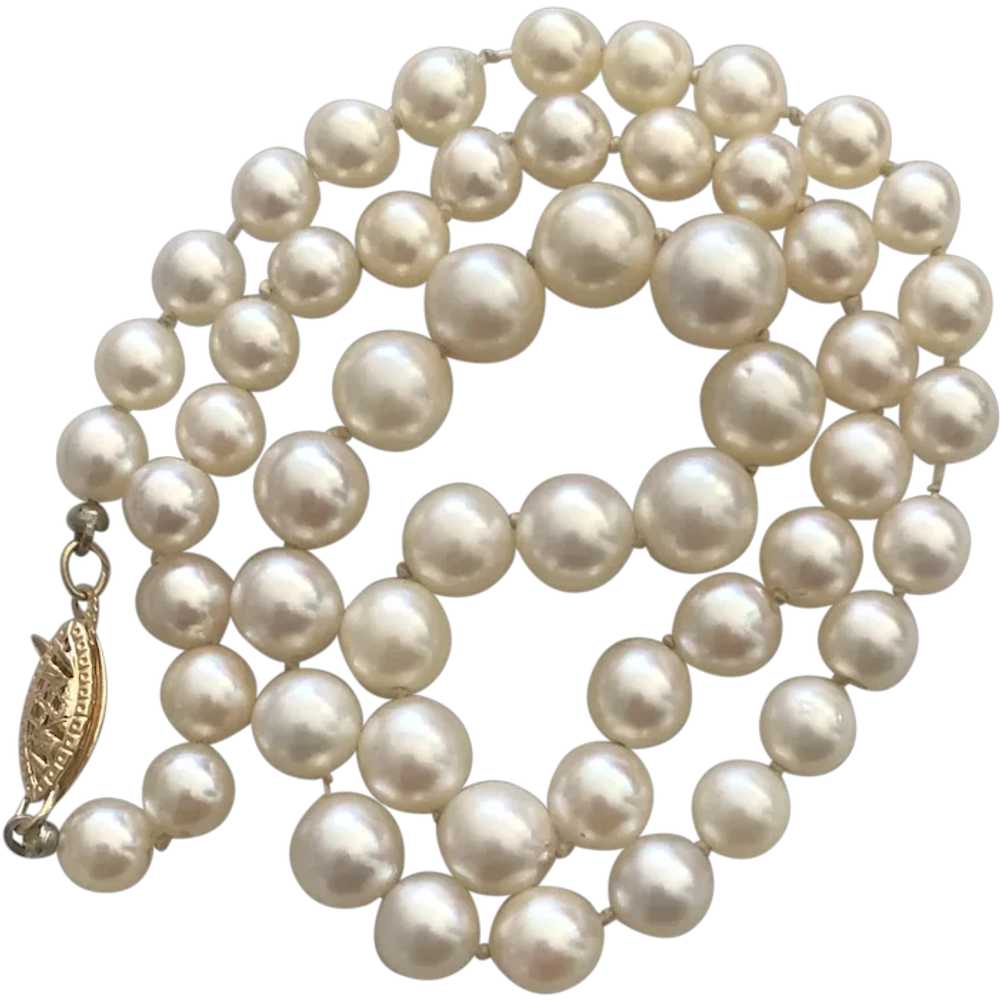 8mm Salt Water Cultured Pearl Graduated Choke Nec… - image 1