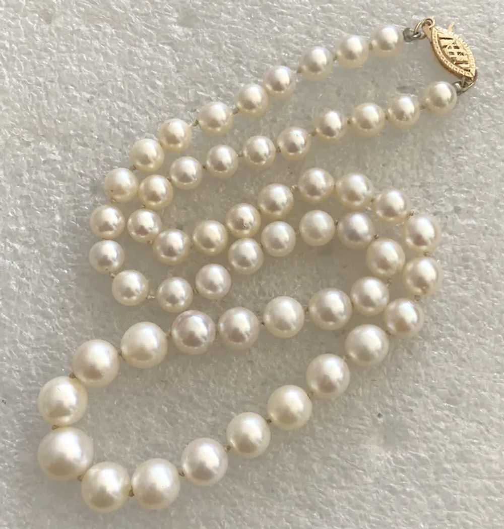 8mm Salt Water Cultured Pearl Graduated Choke Nec… - image 3