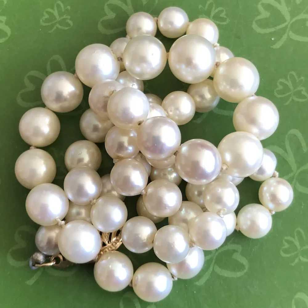 8mm Salt Water Cultured Pearl Graduated Choke Nec… - image 7