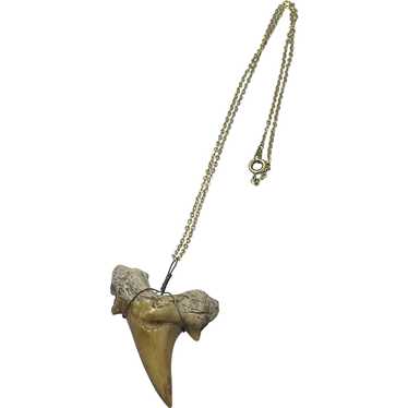 Vintage Shark Tooth Pendant Necklace - image 1