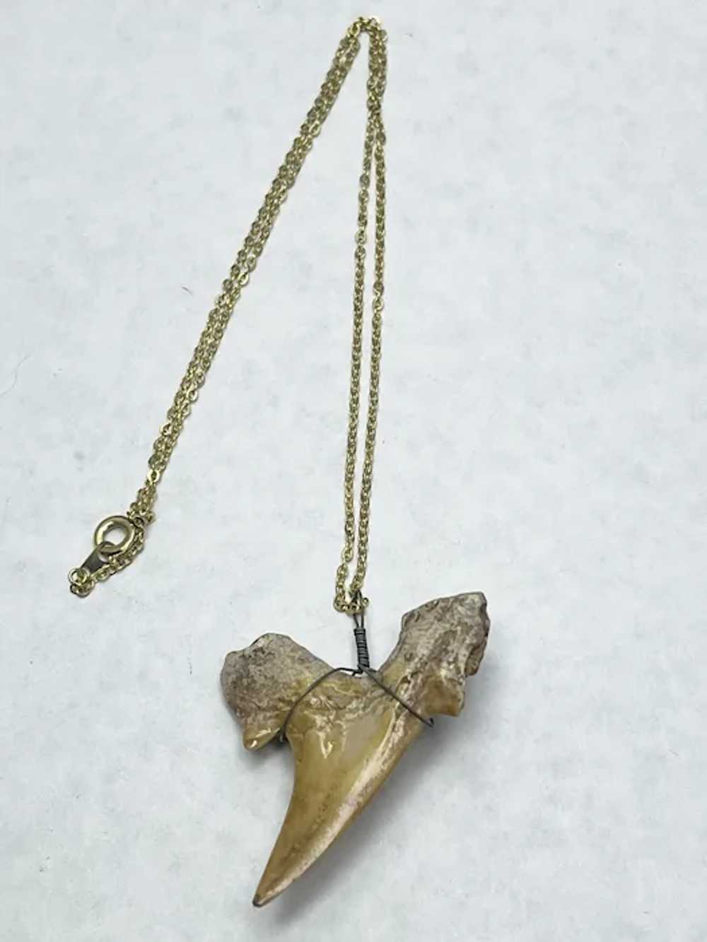 Vintage Shark Tooth Pendant Necklace - image 2