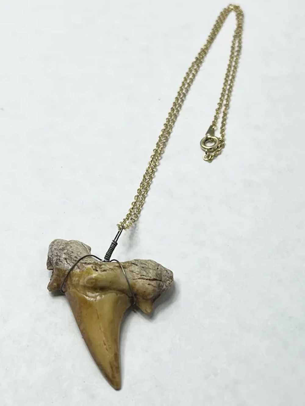 Vintage Shark Tooth Pendant Necklace - image 3