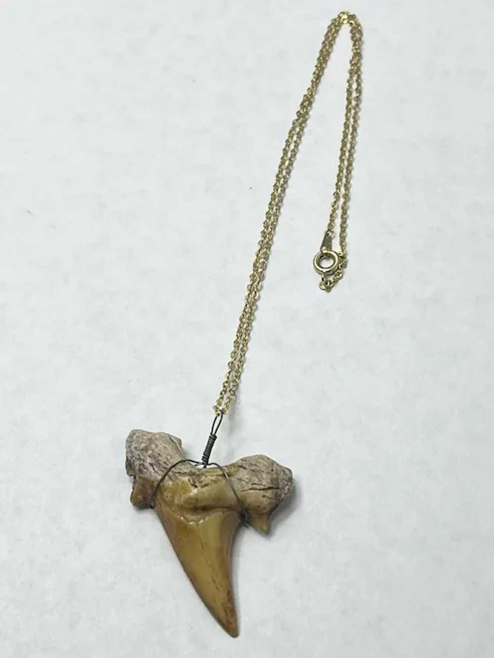 Vintage Shark Tooth Pendant Necklace - image 4