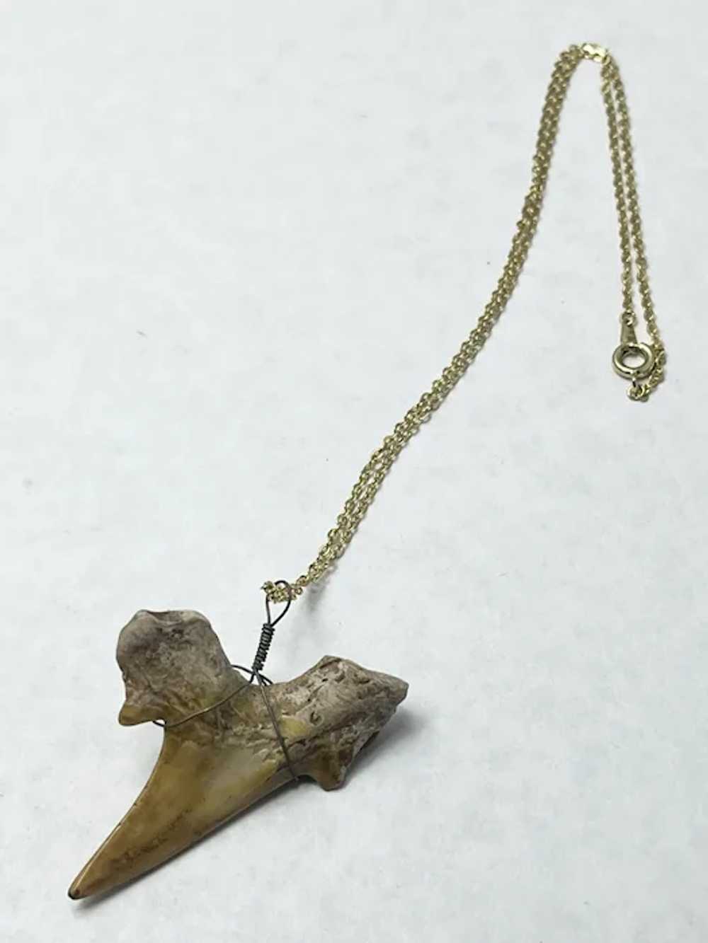 Vintage Shark Tooth Pendant Necklace - image 5