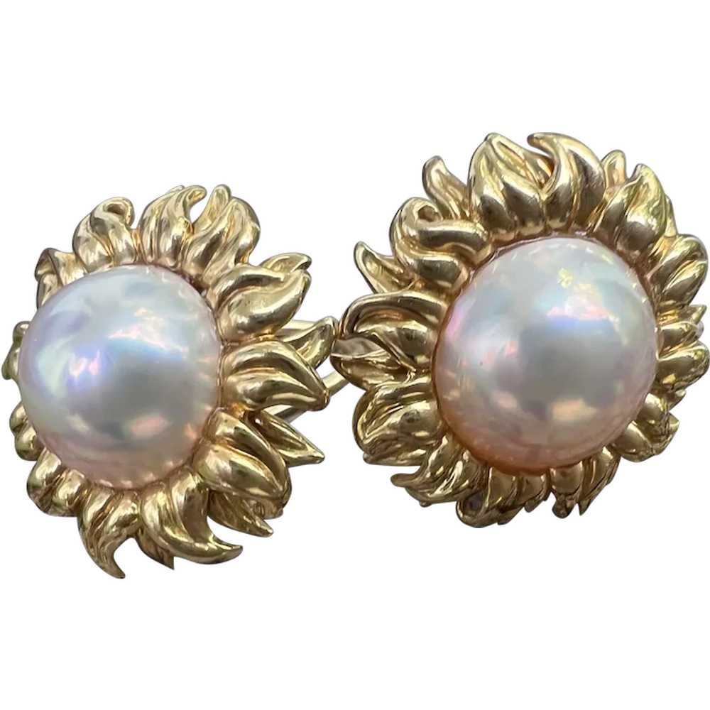 Tiffany & Co 18k Yellow Gold Mabe Pearl Earrings - image 1