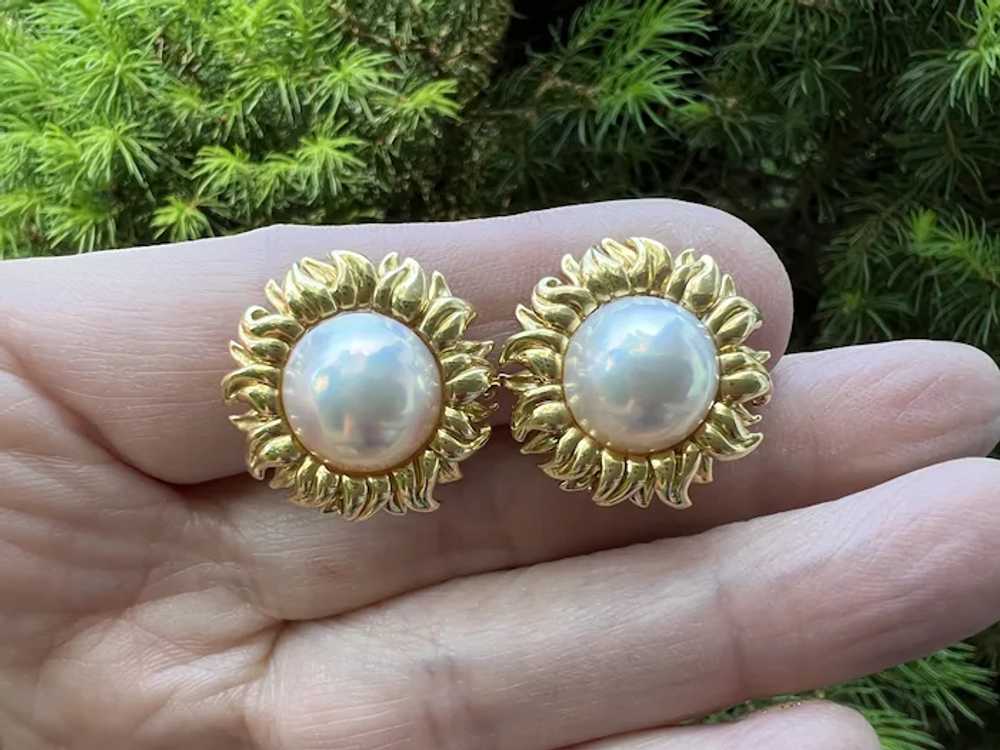 Tiffany & Co 18k Yellow Gold Mabe Pearl Earrings - image 3