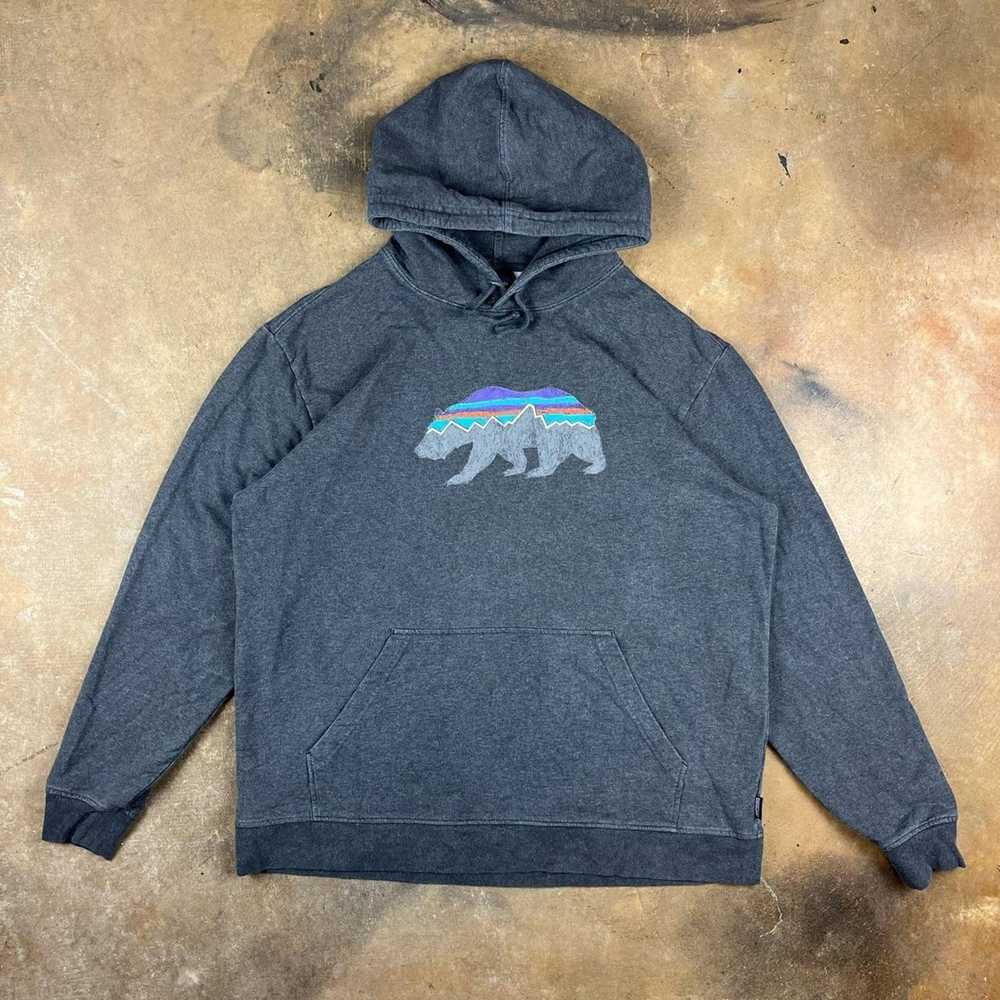 Patagonia Y2k Grey Patagonia Bear Hoodie - Gem