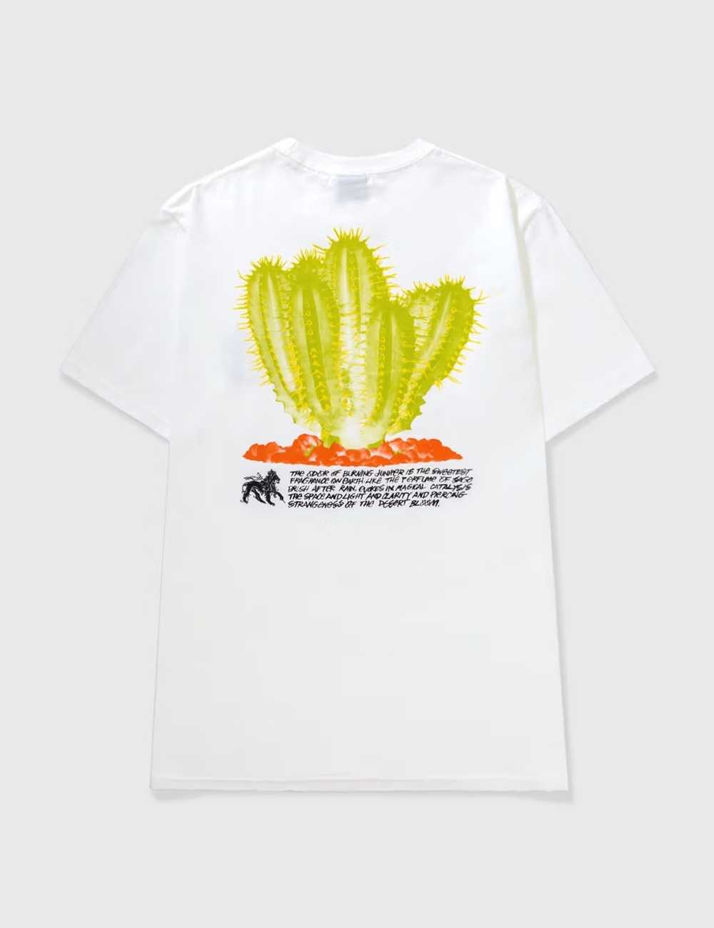 Streetwear × Stussy Stussy -- Desert Bloom Tee - image 1