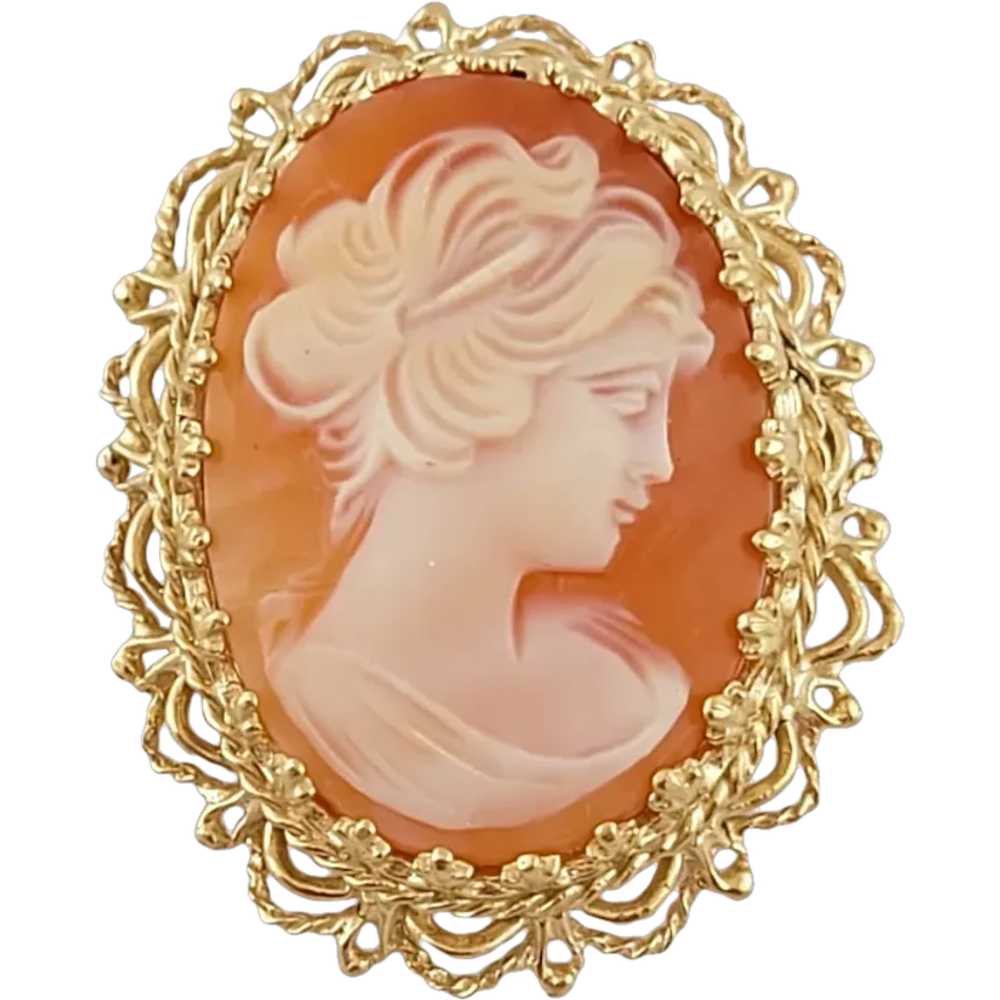 Vintage 14K Yellow Gold Cameo Pin/Pendant - image 1