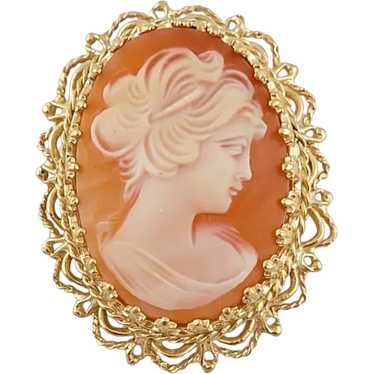 Vintage 14K Yellow Gold Cameo Pin/Pendant - image 1