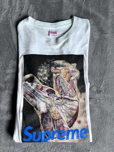 Supreme x clearance undercover anatomy tee