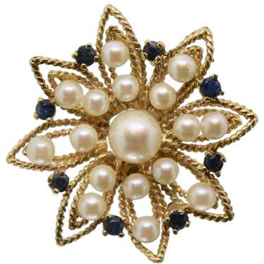 14k Gold Pearl & Sapphire Pin/Brooch - image 1