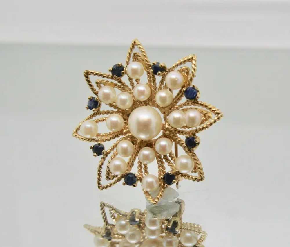 14k Gold Pearl & Sapphire Pin/Brooch - image 2