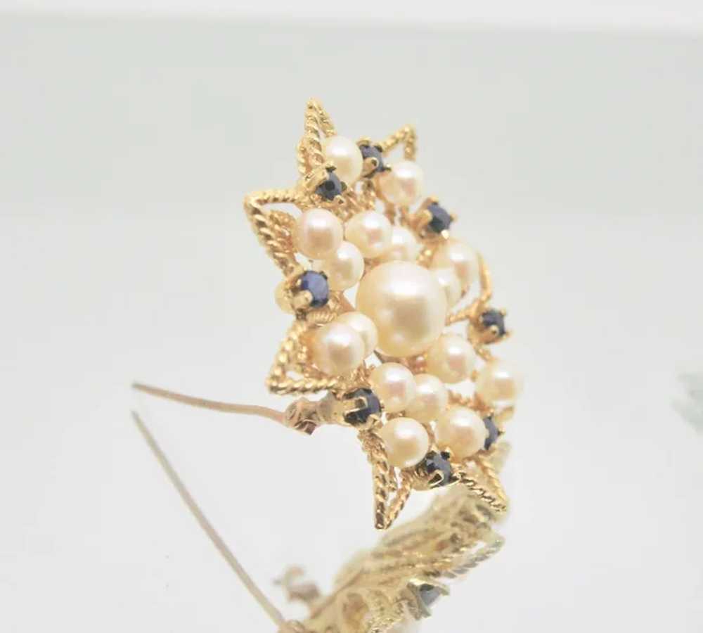 14k Gold Pearl & Sapphire Pin/Brooch - image 5