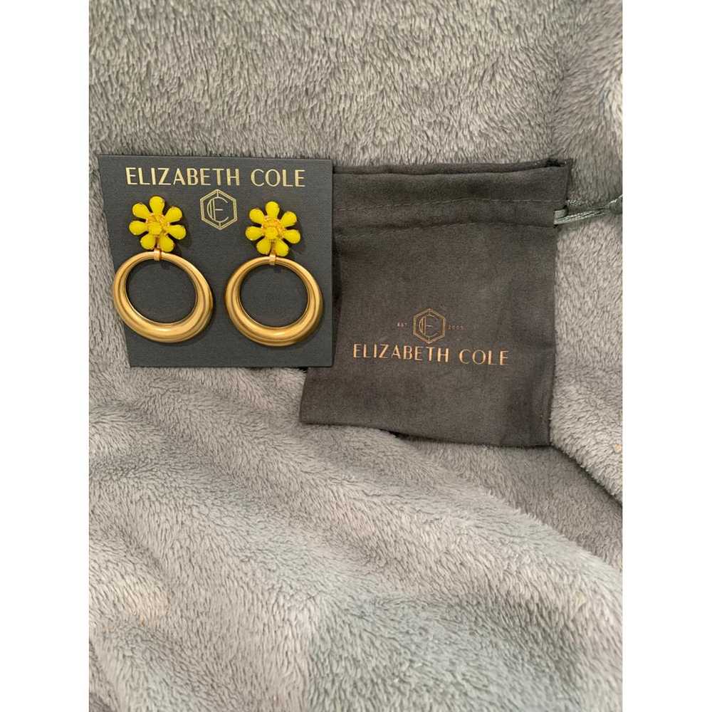 Elizabeth Cole Earrings - image 3