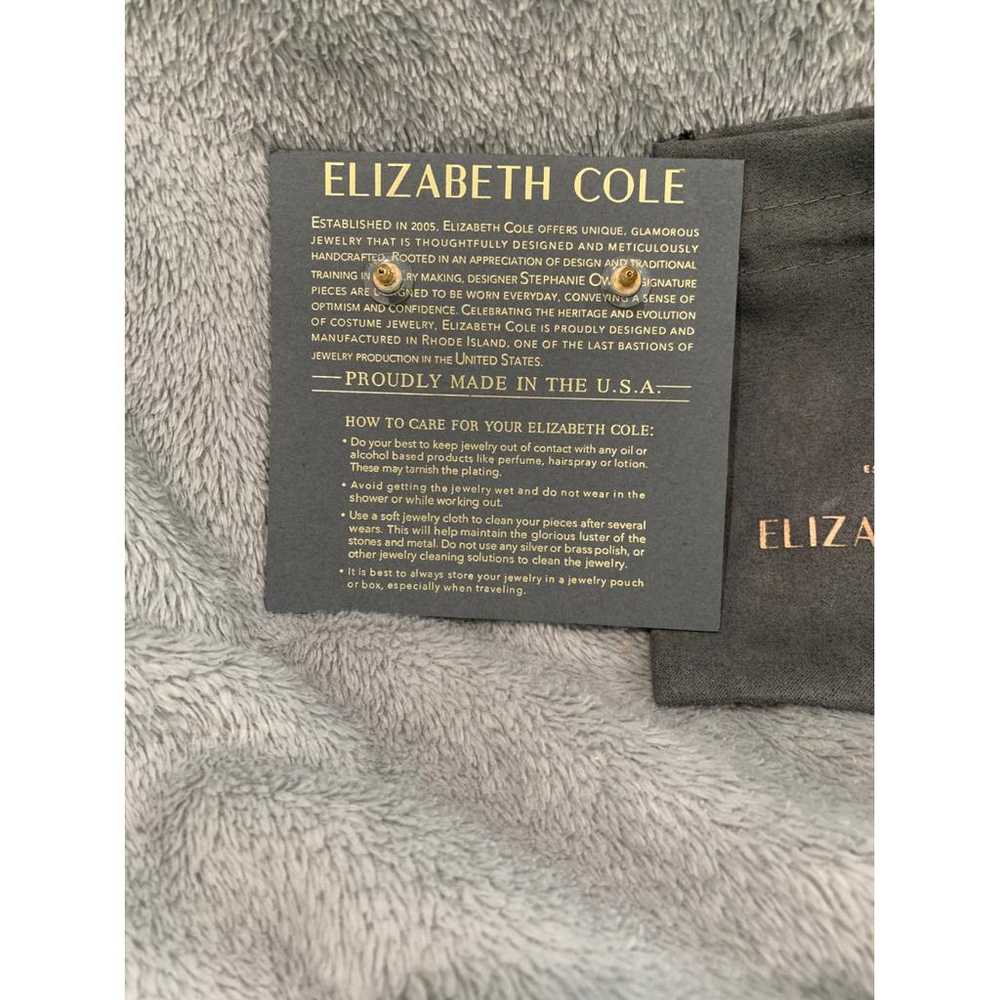 Elizabeth Cole Earrings - image 4