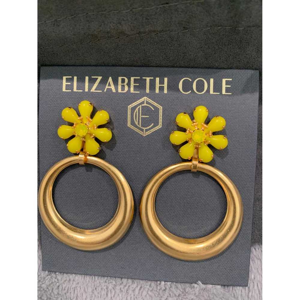 Elizabeth Cole Earrings - image 5
